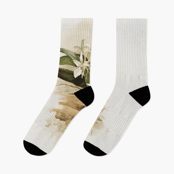 Item preview, Reichenbachia: Orchids Illustrated and Described designed and sold by EsotericBotanic.