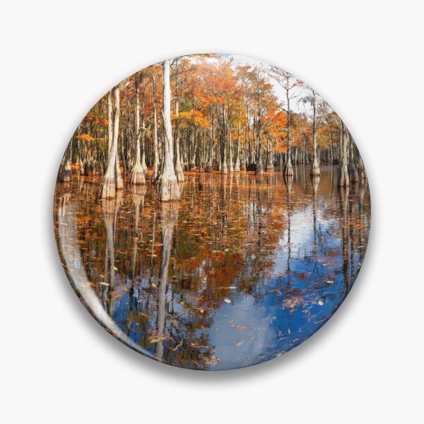 Item preview, Cypress Swamp Panorama in George L. Smith State Park, Georgia designed and sold by Lena Owens at OLena Art..