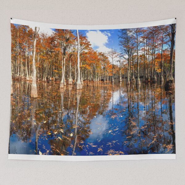 Item preview, Cypress Swamp Panorama in George L. Smith State Park, Georgia designed and sold by Rocky Mountain Artistry.
