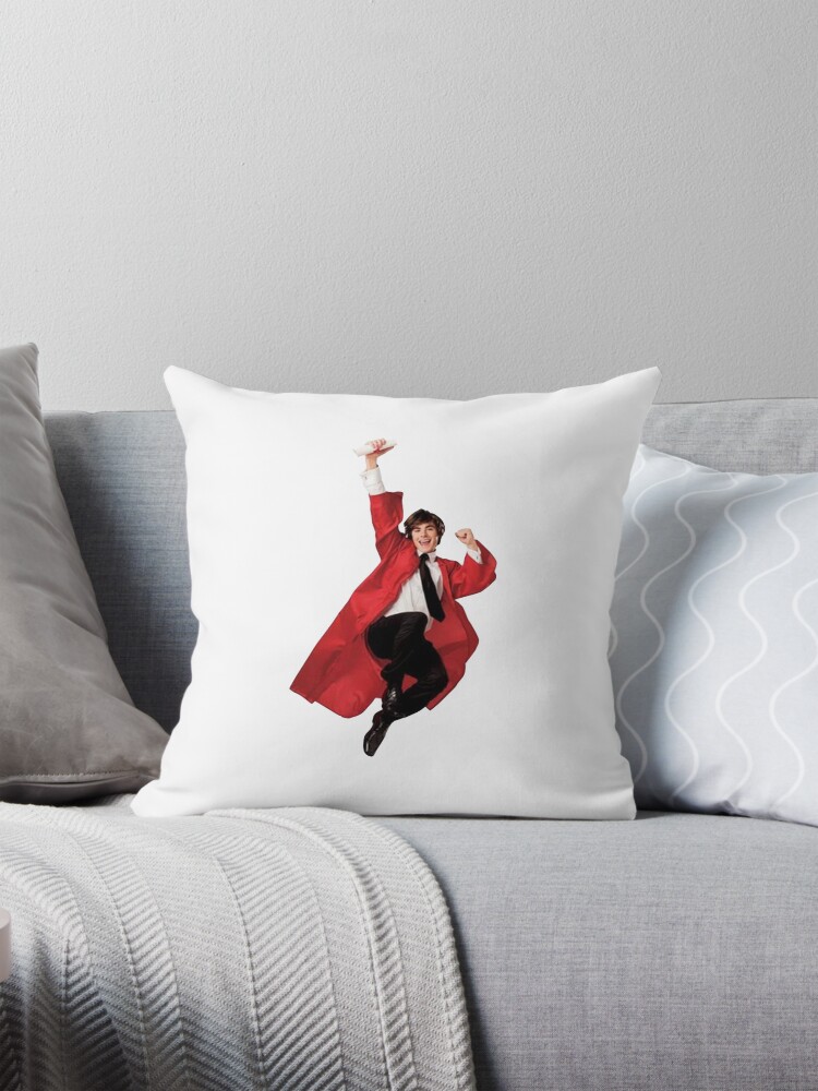 Zac Efron Troy Bolton