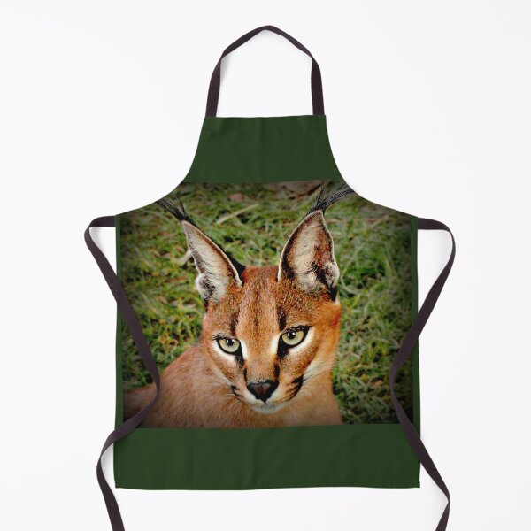 Item preview, Closer designed and sold by Vince Scaglione.