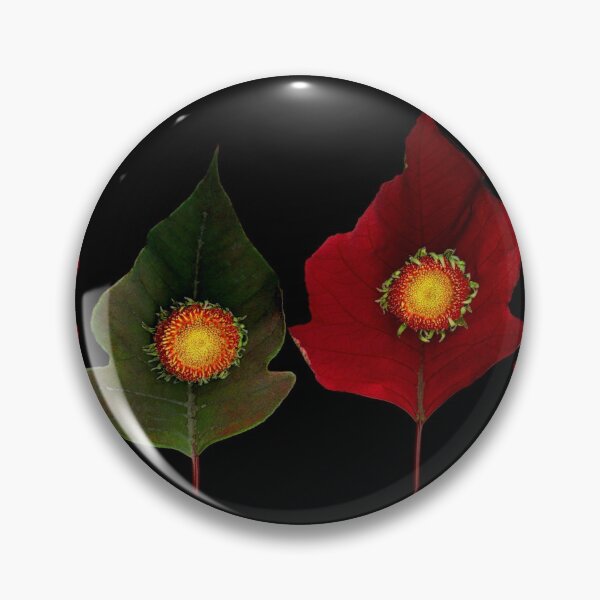 Item preview, Daisy Poinsettia Dark Floral designed and sold by LindasPhotoArt.