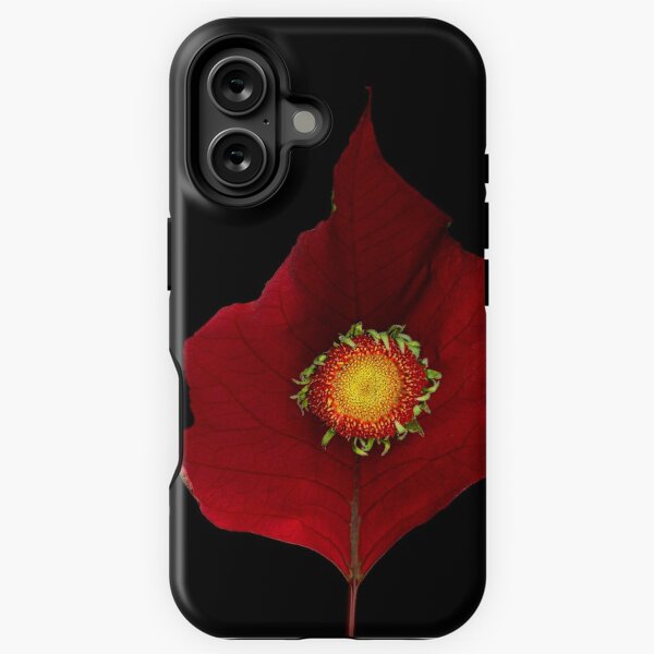 Daisy Poinsettia Dark Floral iPhone Tough Case