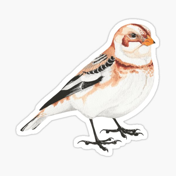 Item preview, Snow Bunting designed and sold by icteridae.