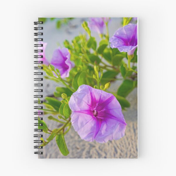 Item preview, Australian Wildflowers - Goat's Foot Creeper or Beach Morning Glory, Cape Leveque - Western Australia.  designed and sold by JennysPrints.