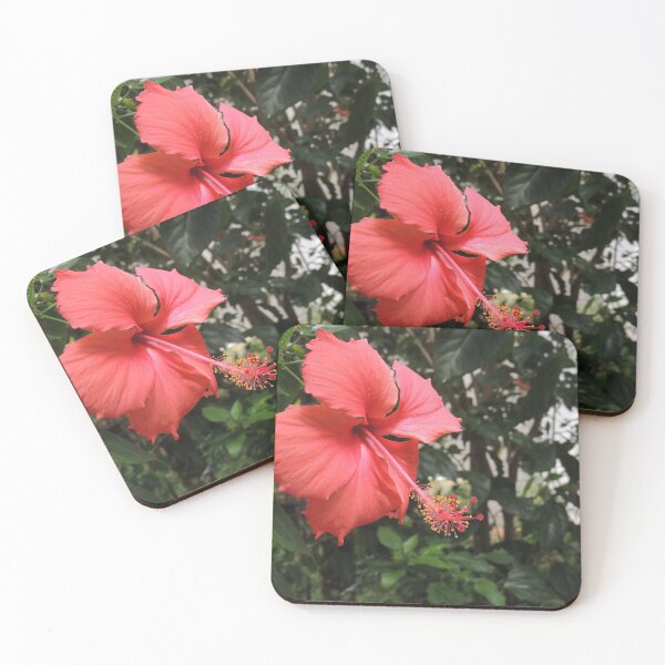 Item preview, Pink Hibiscus Flower designed and sold by davidhipp.