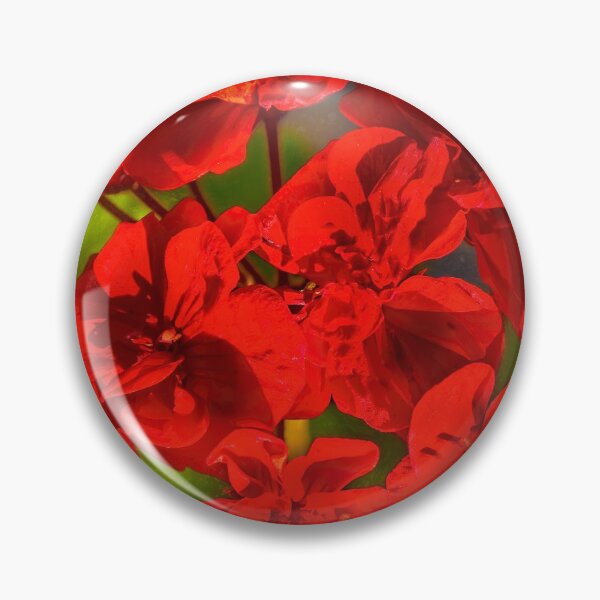 Item preview, Begonia Sketch designed and sold by Kay Brewer.