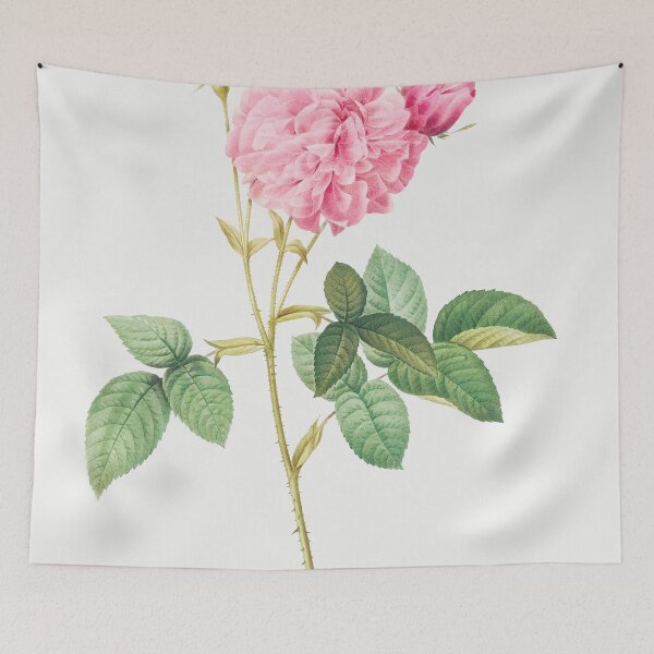 Item preview, Les Roses by Pierre-Joseph Redouté designed and sold by EsotericBotanic.