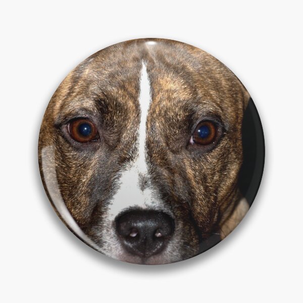 Item preview, Our dog Bella at 8 months designed and sold by Clive.