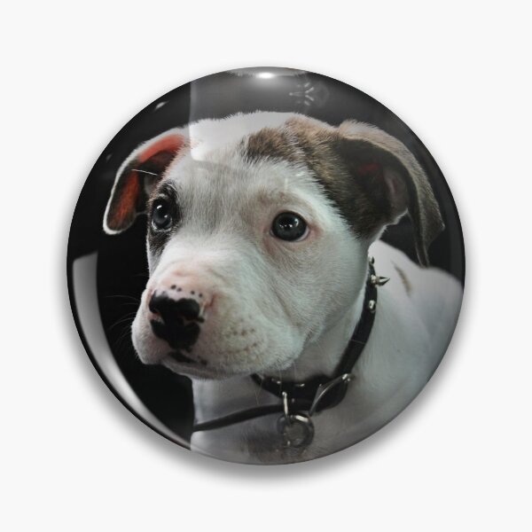 Item preview, Pit Bull T-Bone Puppy designed and sold by HisRuin.
