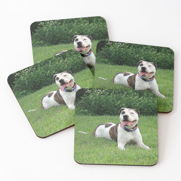 Item preview, Pit Bull T-Bone designed and sold by HisRuin.