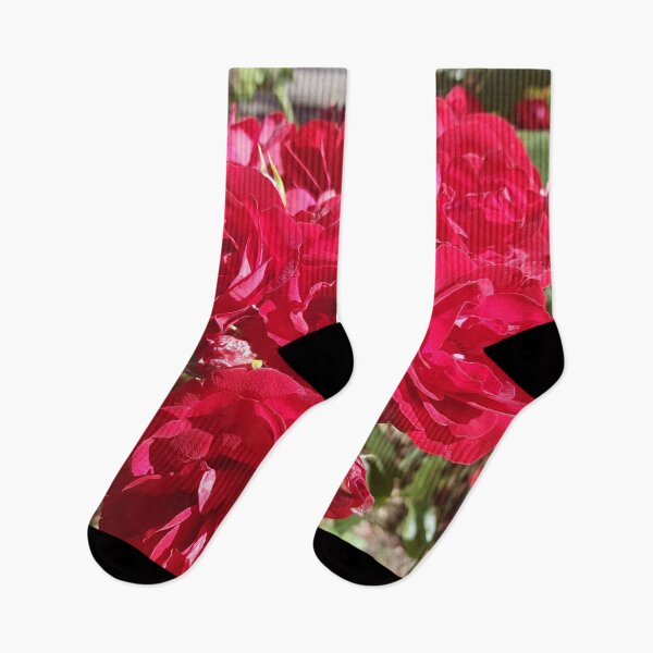 Item preview, Blooming Red Roses designed and sold by ckylin.