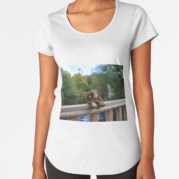 Little bear soft toy sitting on the fence Premium Scoop T-Shirt