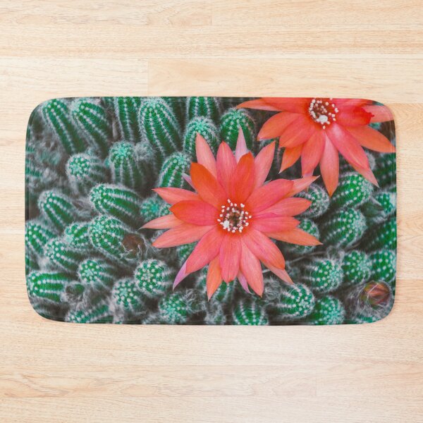 Item preview, Cactus with flowers - trendy popular houseplants - for the plant lover designed and sold by Fruitsome.