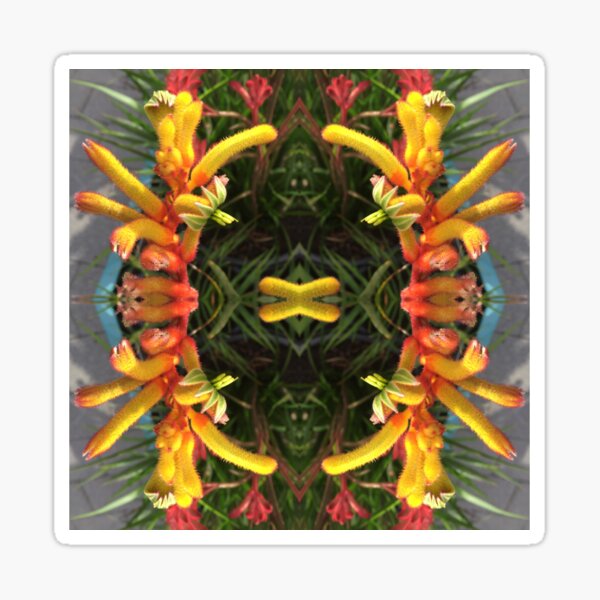 Item preview, Dancing Kangaroo Paws IV of Criterion Street, Hobart/nipaluna designed and sold by RoseAromas.