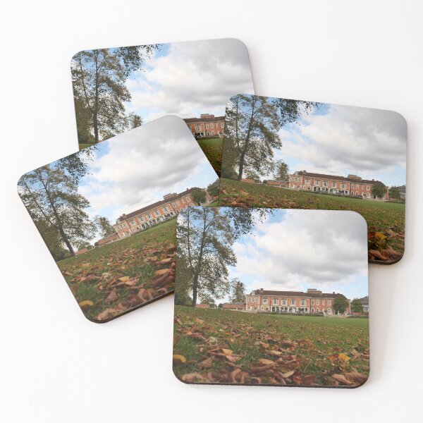 Item preview, Autumn leaves in front of South Hill Park Arts centre  designed and sold by santoshputhran.