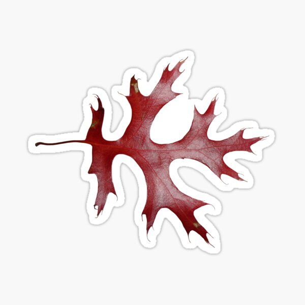 Item preview, Brown Oak Leaf designed and sold by PNWBeePhotos.