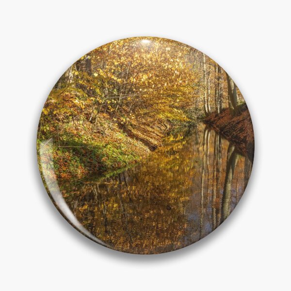 Artikelvorschau, Herbstwald entworfen und verkauft von reisefoto.