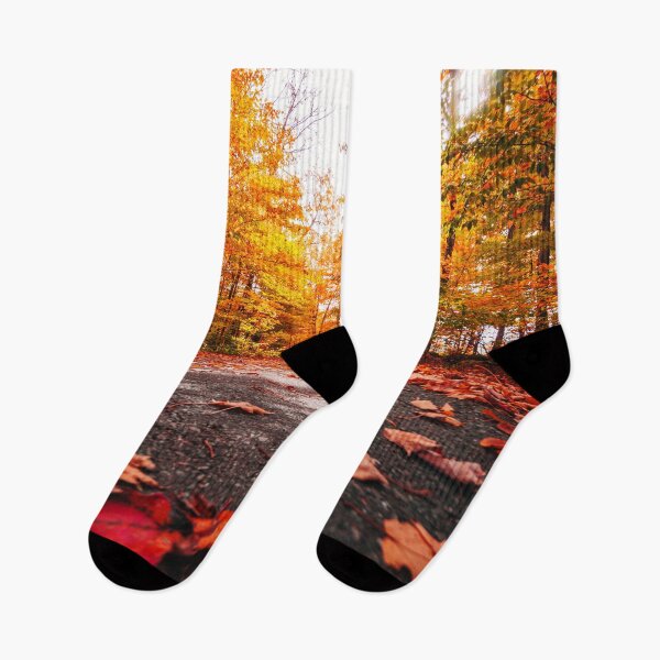 Item preview, autumnal driveway designed and sold by franckreporter.