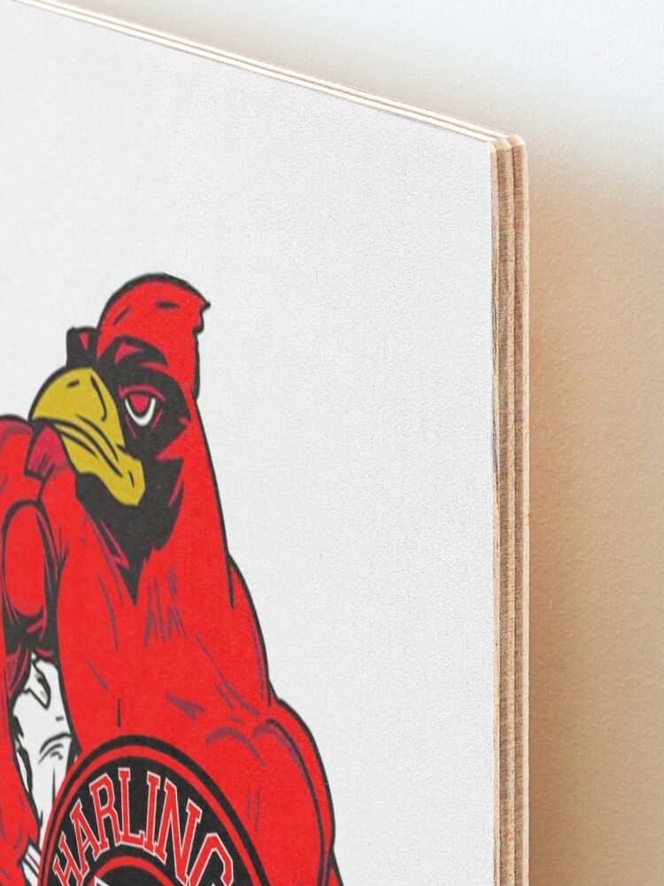 Harlingen Cardinals shirts and merchandise Postcard for Sale by