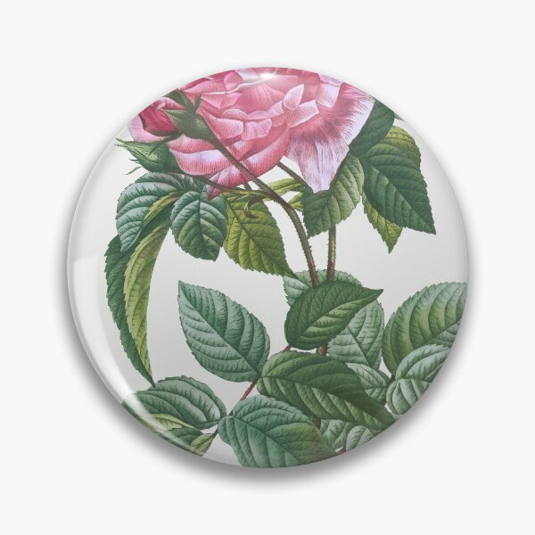 Item preview, Les Roses by Pierre-Joseph Redouté designed and sold by EsotericBotanic.