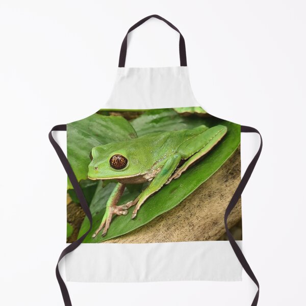 Item preview, Trinidad Leaf Frog designed and sold by Tropicalsteve.