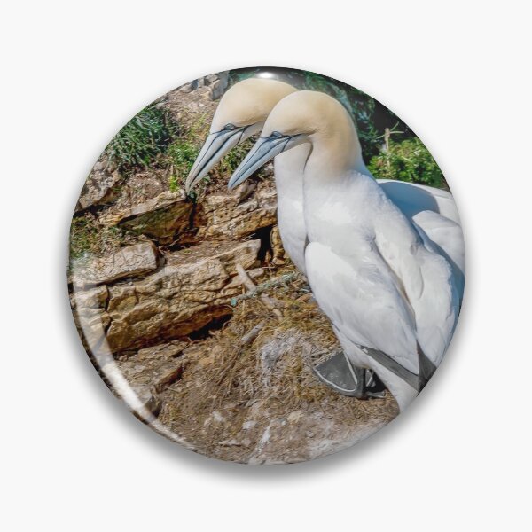 Item preview, Puffin and Gannets designed and sold by mhfore.