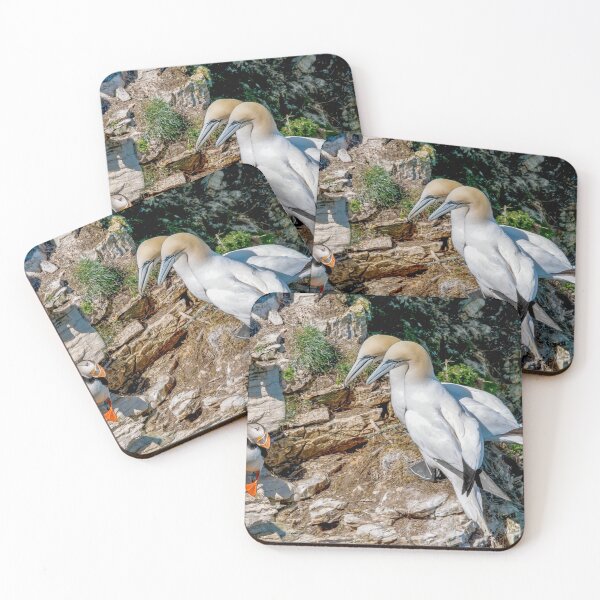 Item preview, Puffin and Gannets designed and sold by mhfore.