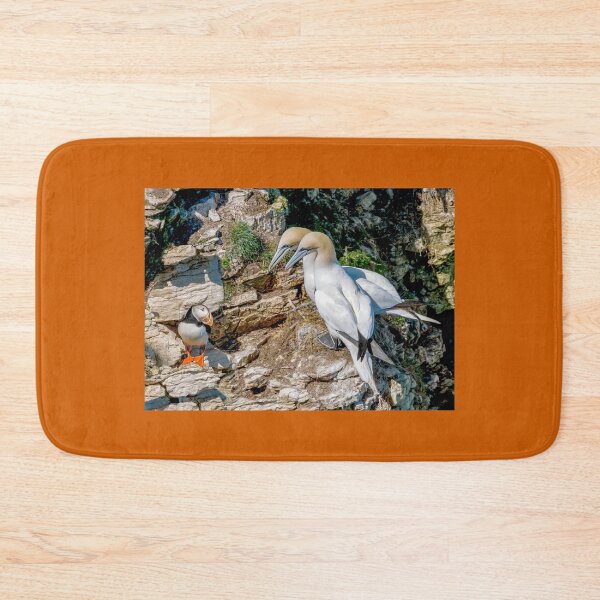 Item preview, Puffin and Gannets designed and sold by mhfore.