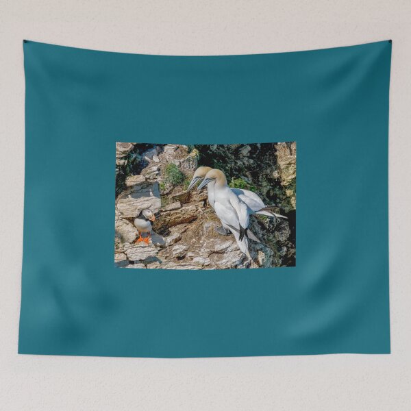 Item preview, Puffin and Gannets designed and sold by mhfore.