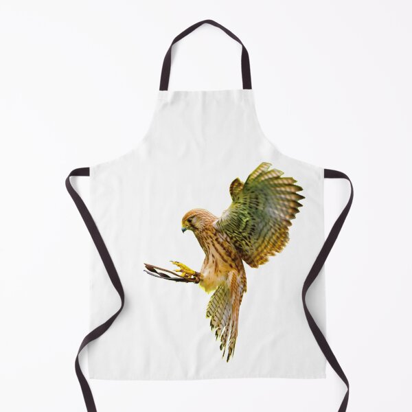 Item preview, Incoming Female Kestrel to her Falconer designed and sold by Dalyndigital Photography.
