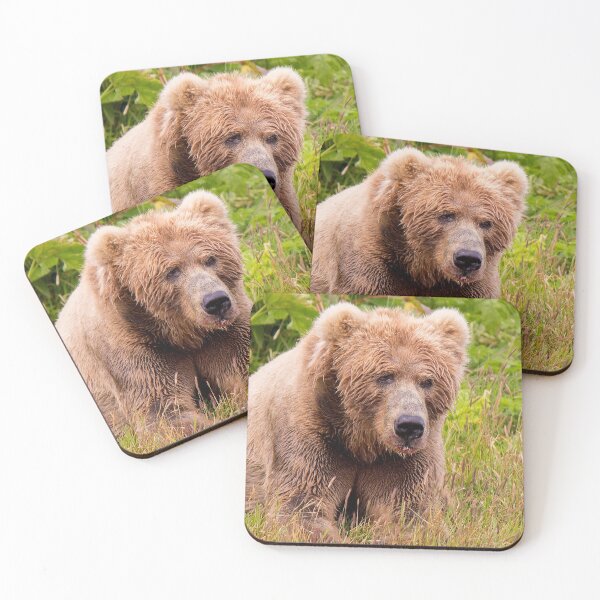 Item preview, Brown Bear Kodiak designed and sold by Erika Kaisersot.