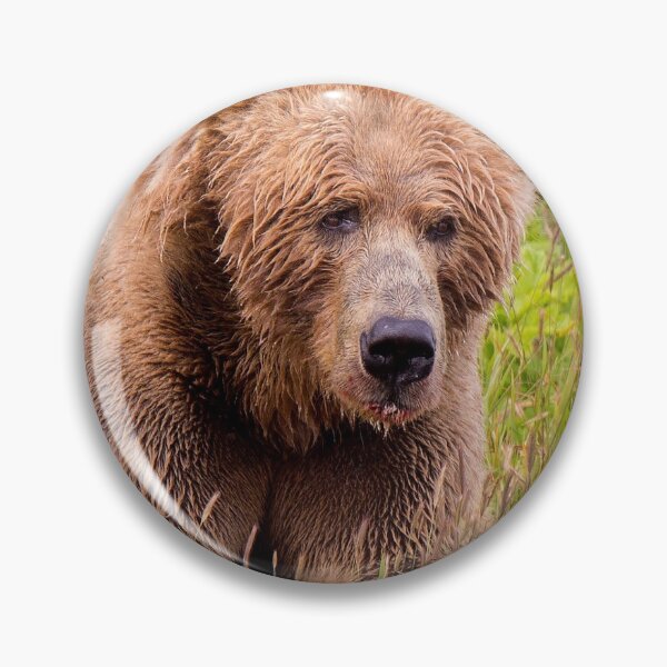 Artikelvorschau, Braunbär Kodiak entworfen und verkauft von Erika Kaisersot.