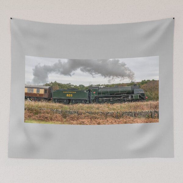 Item preview, Southern Railway S15 Number 825 designed and sold by Steve H Clark.