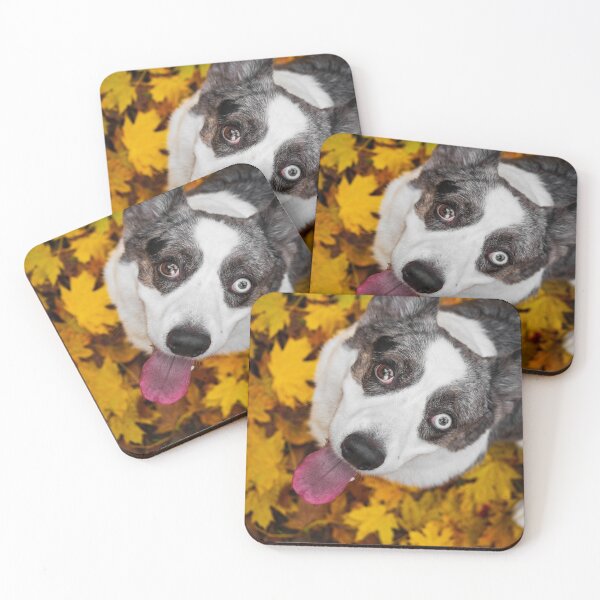 Item preview, A cute corgi dog poses for a walk in the autumn city among the colors of autumn. designed and sold by Alexander Sorokopud.