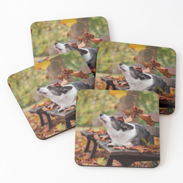 Item preview, A cute corgi dog poses among red autumn leaves on a bench designed and sold by Alexander Sorokopud.
