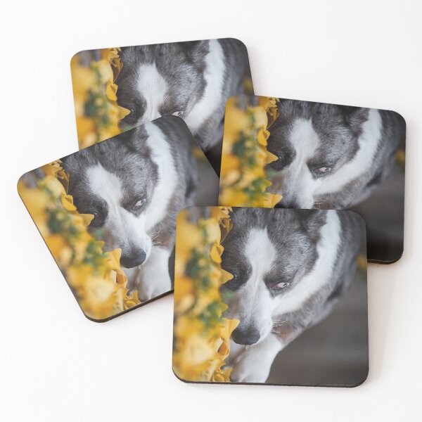 Item preview, A cute corgi dog poses among the yellow autumn leaves of a ginkgo tree that have crumbled onto the pavement designed and sold by Alexander Sorokopud.