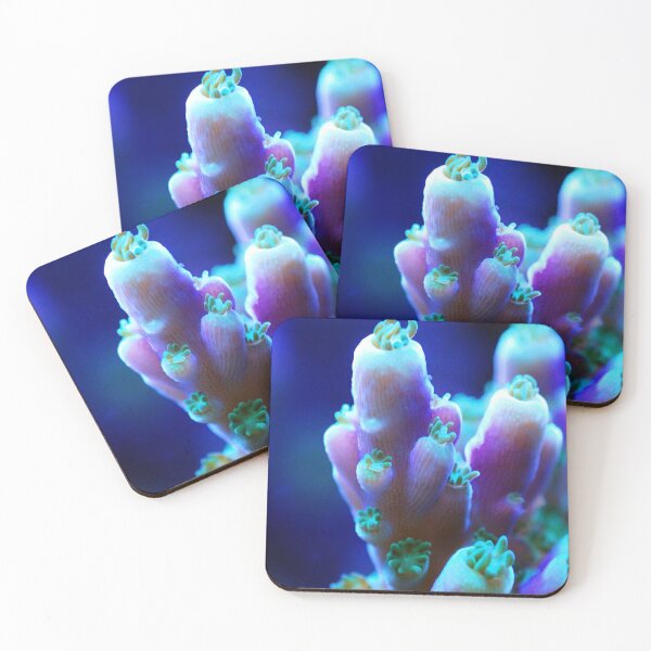 Item preview, Reeftice Logo Acropora designed and sold by reeftice.