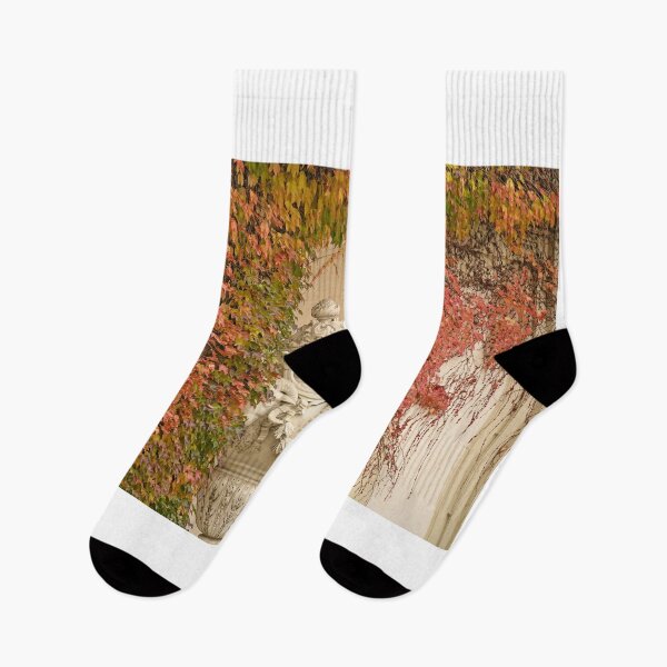 Item preview, wall with creeper plant and statue in Vienna autumn season designed and sold by goceris.