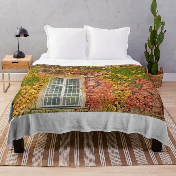 Item preview, wall with rustic window and colorful creeper foliage autumn season designed and sold by goceris.