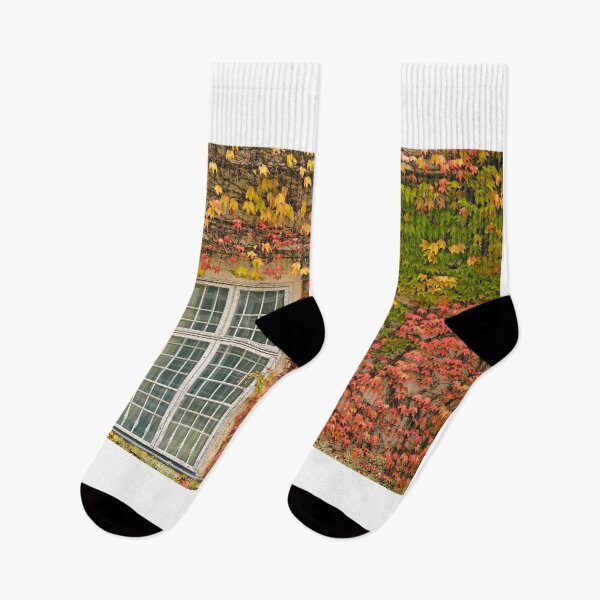 Item preview, wall with rustic window and colorful creeper foliage autumn season designed and sold by goceris.