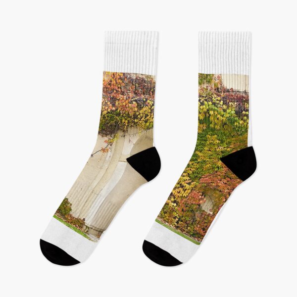 Item preview, wall with creeper plant colorful leaves and statue in Vienna autumn season designed and sold by goceris.