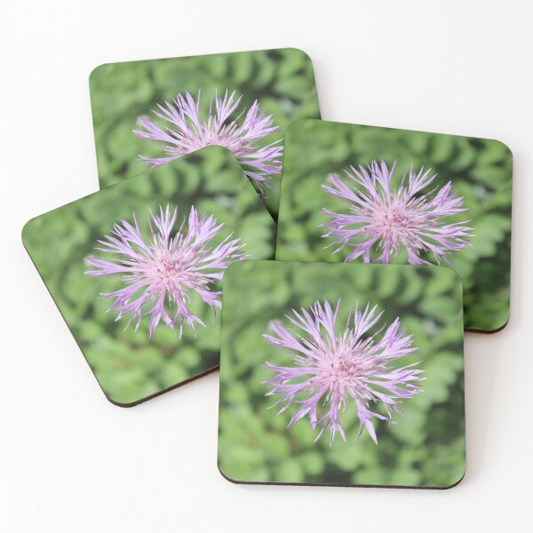 Item preview, Star Thistle  designed and sold by Linda Sijpkes.