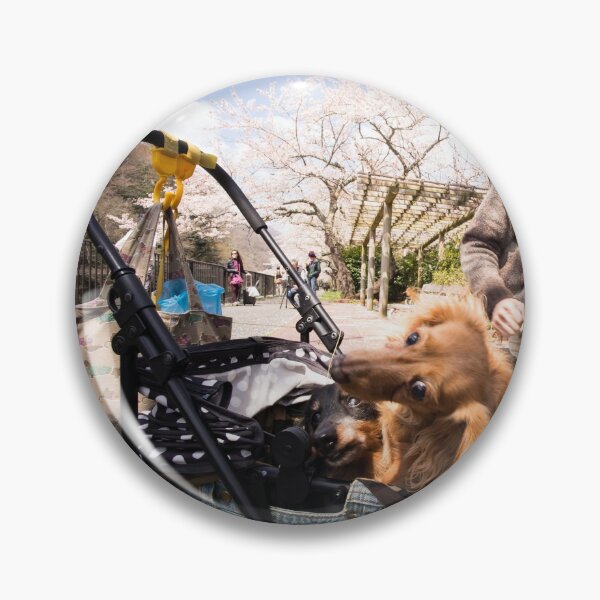Item preview, Sausage dog hanami celebration - Sakura - Hakone Japan designed and sold by Norman Repacholi | Keystone Photography.