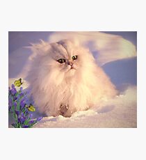 Dreaming of spring ... Photographic Print