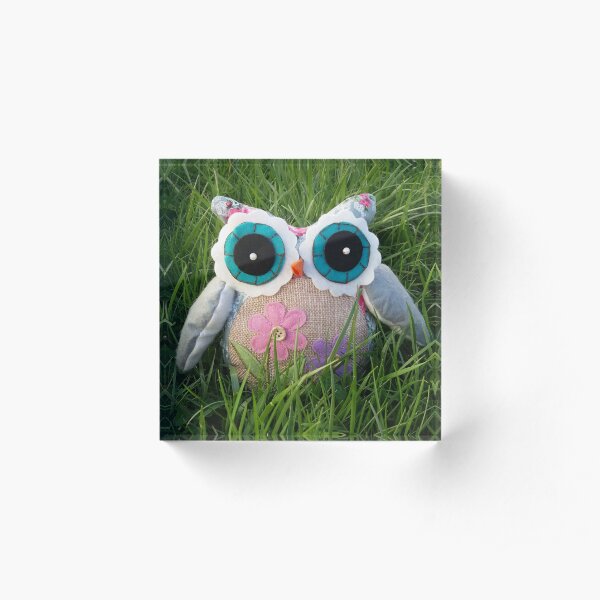 Grassy Owl Acrylic Block