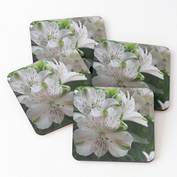 Item preview, White Peruvian Lily designed and sold by Steven Cousley.