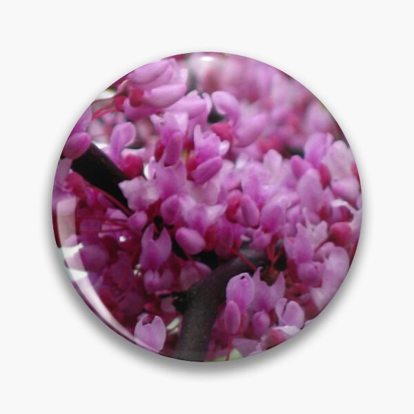 Artikelvorschau, Redbud Branch entworfen und verkauft von MarjorieB.