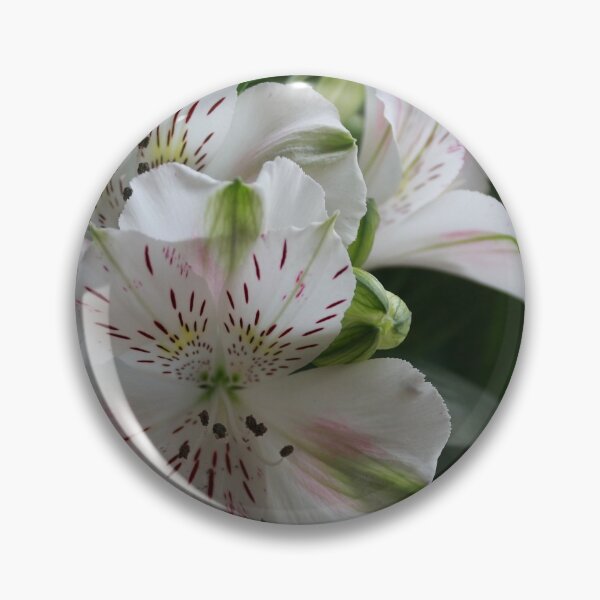 Item preview, White Peruvian Lily designed and sold by Steven Cousley.