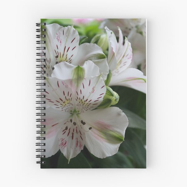 Item preview, White Peruvian Lily designed and sold by Steven Cousley.